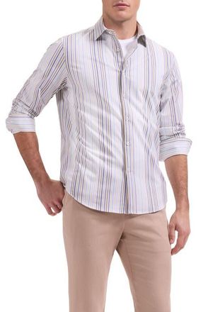 Bugatchi James OoohCotton Stripe Print Button-Up Shirt in Walnut at Nordstrom, Size Xxx-Large