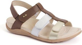 Strive Footwear Cassis Cage Sandal in Tan at Nordstrom, Size 8.5