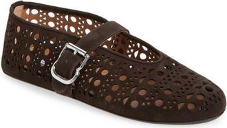Alaia Vienne Perforated Ballet Flat in Brun Fonce at Nordstrom, Size 10.5Us