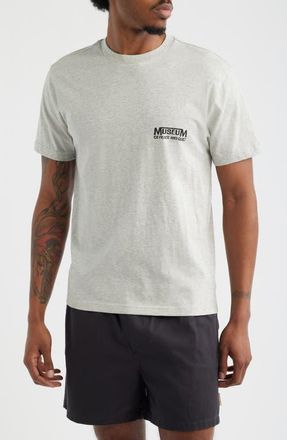 Museum of Peace and Quiet Establish Graphic T-Shirt in Ash at Nordstrom, Size Xx-Large