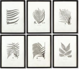 Napa Home & Garden Framed Gray-Tone Fern Prints Set of 6 in Black at Nordstrom, Size Medium