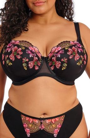 Elomi Teagan Padded Underwire Half Cup Bra in Rainbow at Nordstrom, Size 32Gg