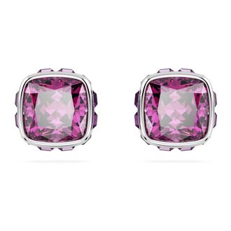Swarovski Horloges - Dames - Oorbellen - Grijs - ONE Size - Accessoires