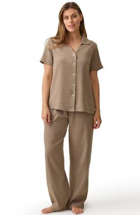 Kindred Bravely Cotton Blend Pajama Set in Taupe at Nordstrom, Size X-Large