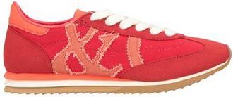 Max & Co. ACBC X MAX&CO