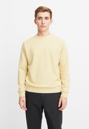 Indicode Sweatshirt INDICODE INFence, Herren, Gr. XXL, gelb (pale banana), Sweatware, Obermaterial: 60% Baumwolle, 40% Polyester, unifarben, regular fit normal