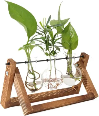 OEM Estaci&oacute;n De Propagaci&oacute;n De Plantas Con Soporte De Madera, Jarrones De Vidrio Retro Con Forma De Bombillas Y Jarrones Hidrop&oacute;nicos