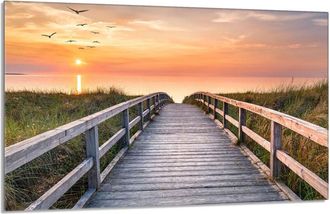 OEM Placa Protectora De Vidrio Para La Estufa 80x52 Most