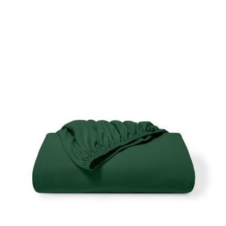 Bare Home Organic Cotton Jersey Fitted Sheet in Forest Green at Nordstrom, Size Twin X-Long