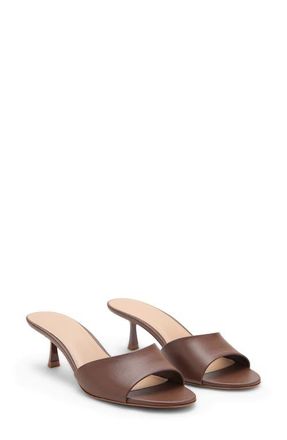 Mango Kitten Heel Slide Sandal in Chocolate at Nordstrom, Size 8.5Us