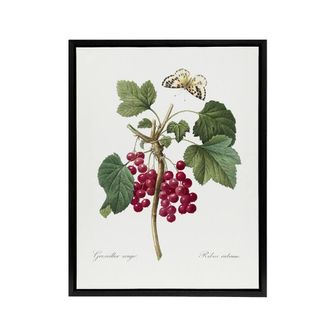 Artery8 Redcurrant Berries & Butterfly Redoute Framed Canvas Wall Art in White | Size: W24 x H32