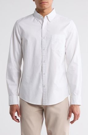 14th & Union Cotton Oxford Button-Down Shirt in White at Nordstrom Rack, Size Xx-Large