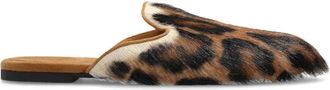 Dolce & Gabbana Dames, Schoenen, Bruin, Maat: 40 EU Leer