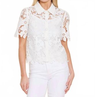 Dolce Cabo Lace Collared Shirt In White