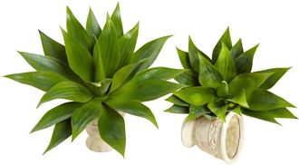 Nearly Natural 17-in Agave Succulent Plant in Green at Nordstrom