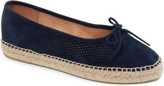 Patricia Green Sydney Ballet Flat in Navy Perforated Suede at Nordstrom, Size 8