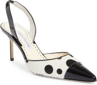 Manolo Blahnik Capsli Pointed Toe Slingback Pump in Black/White Print Calf Hair at Nordstrom, Size 10.5Us