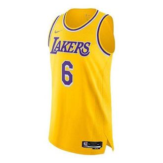 Nike x NBA LA Lakers Jerseys LeBron James 6 DB3317-730