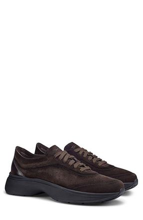 Santoni Bounce Sneaker in Dark Brown at Nordstrom, Size 11.5