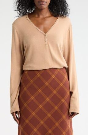 Renee C Rib Knit V-Neck Top in Dark Khaki at Nordstrom Rack, Size 3X