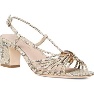 Loeffler Randall Minna Strappy Faux Leather Sandal in Natural Snake at Nordstrom, Size 10.5