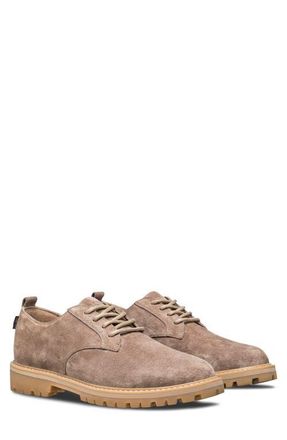 Clae Logan Lugged Plain Toe Derby in Silver Mink Suede at Nordstrom, Size 11.5