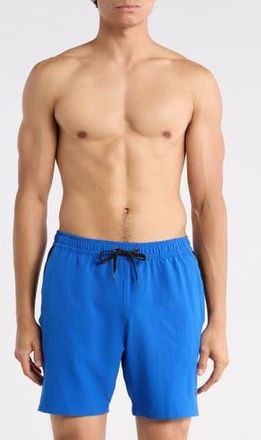 Nike 7-Inch Volley Swim Shorts in Game Royal at Nordstrom Rack, Size Xx-Large