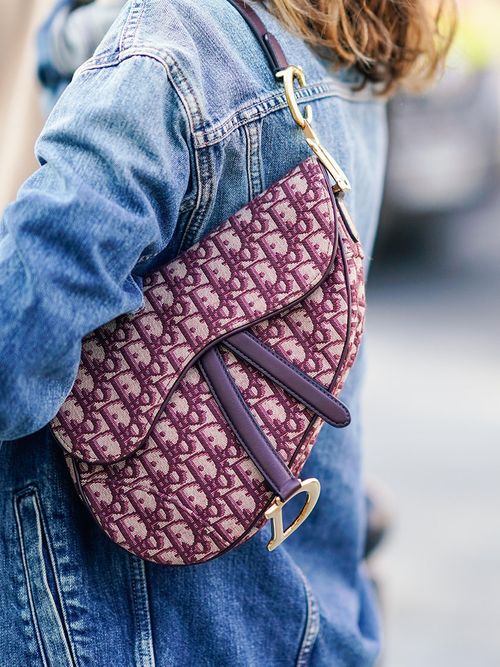 borsa saddle dior