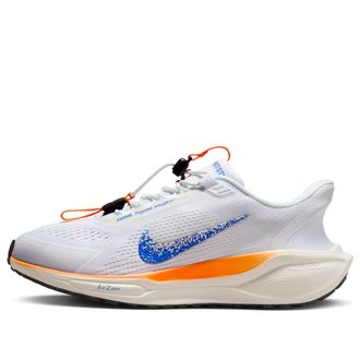 Nike (WMNS) Nike Air Zoom Pegasus 41 EasyOn Blueprint Pack HM0375-900