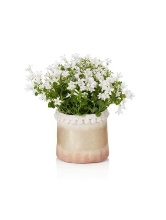 Impr&eacute; Blumentopfbezug impr&eacute; Creme-Wei&szlig;/Goldfarben