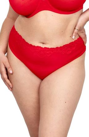 Curvy Couture Sheer Whisper High Cut Briefs in Diva Red at Nordstrom, Size Xx-Large