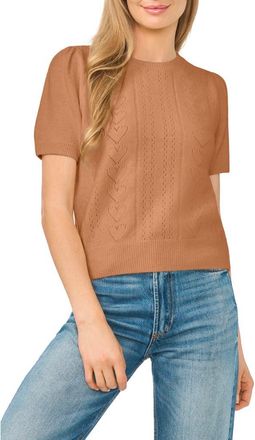 CeCe by Cynthia Steffe Short Sleeve Pointelle Sweater in Raw Umber at Nordstrom, Size Xx-Large