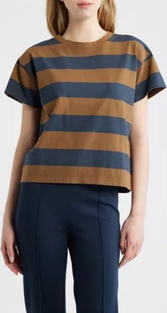 Rag & Bone Kelly Stripe Boxy T-Shirt in Cocoa Multi at Nordstrom, Size X-Large