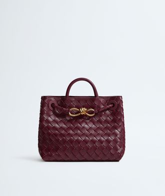Bottega Veneta Small Andiamo - Bottega Veneta