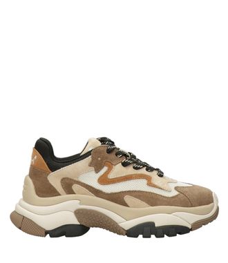 Ash As-sneakers Cappuccino
