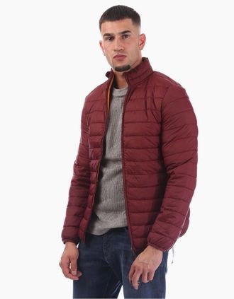 Aquascutum Mens Puffer Jacket - Red - Size: Regular/42