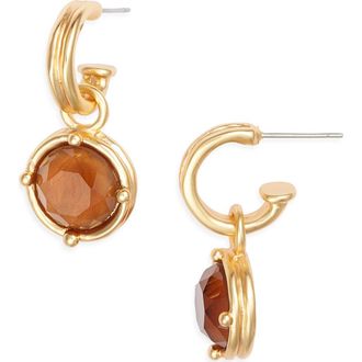 Karine Sultan Round Drop Huggie Hoop Earrings in Gold/brown at Nordstrom