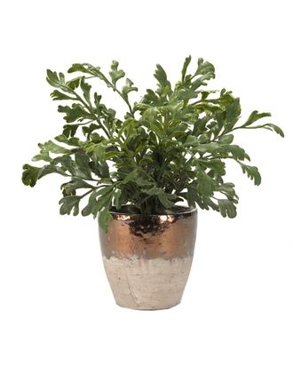 D&W Silks Harefoot Fern In Rustic Ceramic Planter