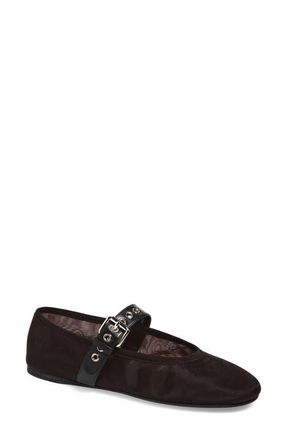 Miu Miu Mary Jane Ballet Flat in Moro at Nordstrom, Size 10.5Us