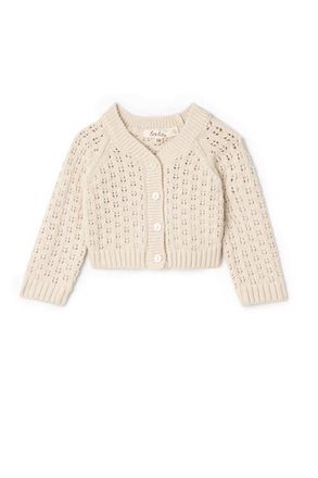 Lola Pointelle Knit Button Front Cardigan with Scalloped Trim in Dark Almond at Nordstrom, Size 12M