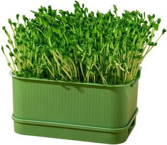 OEM Bandeja Para Cultivo De Brotes, Herramienta De Horticultura - Verde Claro 1