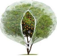OEM (180 X 180 Cm) Malla Antiinsectos Y Antip&aacute;jaros Con Cremallera, Malla Para Jard&iacute;n Para Proteger Plantas, Frutas Y Flores De Los Insectos