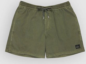 Quiksilver Everyday Surfwash Volley 15 Boardshorts groen