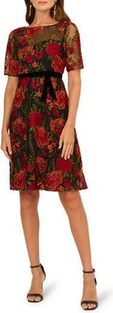 Adrianna Papell Floral Embroidered Cocktail Dress in Red/Black Multi at Nordstrom Rack, Size 4