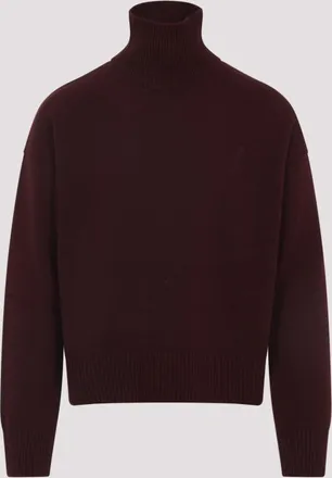 Ami Cherry Turtle Neck Sweater