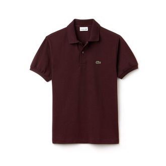 Lacoste T- Shirt, Bad Man, Bordeaux (Vertigo Y29), XS