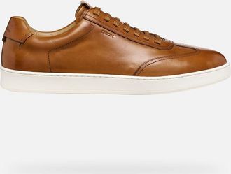 Geox Scarpe Regio Uomo Cognac