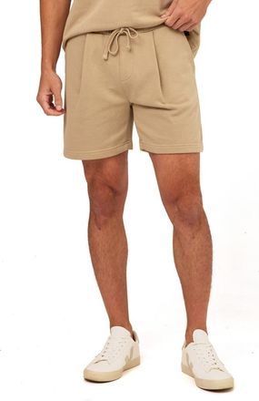 Threads 4 Thought Easton Pleated Mineral Wash Terry Cloth Shorts in Pebble at Nordstrom, Size Xx-Large