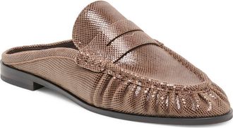Dolce Vita Betzy Mule in Mocha Embossed Suede at Nordstrom, Size 7.5