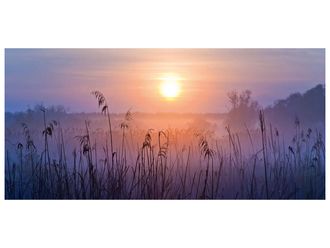 Schubiger M&ouml;bel Digitaldruck auf Glas Sonnenaufgang im Nebel